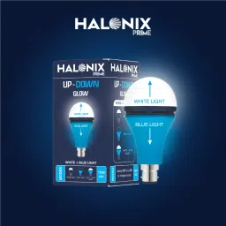 halonix 10 W Basic Round B22 D Decorative Bulb image 2