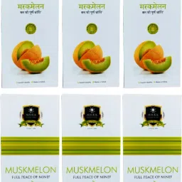 Solitaire Muskmelon Agarbatti Incense Sticks (90G Each) Floral Fragrance-image-87