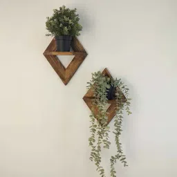 symplify (Set Of 2) Anna Wooden Wall Shelves-picture-41
