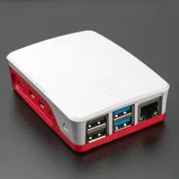 Raspberry PI 4 Official Case                Black & Grey                Red & WhiteView-16