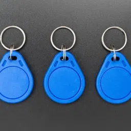 RFID Key Tags 13.56 MHz and 125 kHz                13.56MHz                125kHzView-1