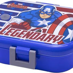 Delicacy Small Insulated Lunch Box with Steel Inner 2 Containers Lunch Box-image-0