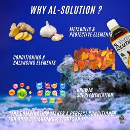 jothi aquatics AL- Solution - Almond Leaf extract based Aquarium water conditioner & Medicine Aquatic Plant Fertilizer image 5