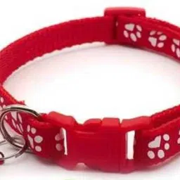 collar with bell,Kitten and small dogs soft adjustable,safe for cats and puppies Dog & Cat Everyday Collar-8