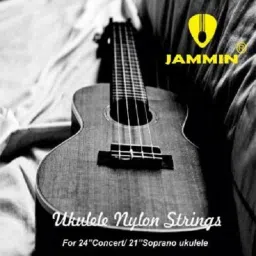 Amuk2124 - Ukelele Strings Concert Ukelele Strings-picture-28
