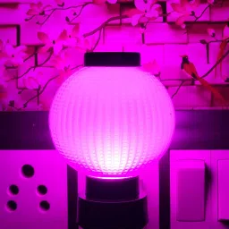 Swing Arm Wall Light Wall Lamp With Bulb-image-5