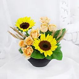 Sunflower Bloom Bliss-12