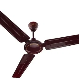 BAJAJ Bahar 1200 mm 3 Blade Ceiling Fan (Brown, Pack of 1) 1200 3 Blade Ceiling Fan-image-34