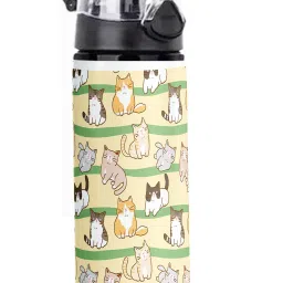 School Bottle| Pattern Printed Bottle Brother(F70) 750 ml Water Bottle-image-50