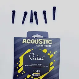 Acoustic PIN AND STRING SET PLSE Guitar String-picture-21