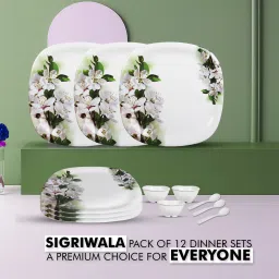 Pack of 12 Melamin Dinner Set-22