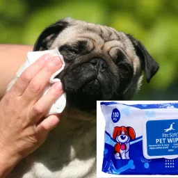 Dog Wipes for Dogs Ca All Purpose Cleaning Pet Wipes, Dog Ear Wipes 100 ml Pet Facial Cleanser-image-38