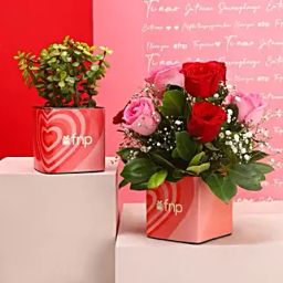 Natures Love Combo-image-10