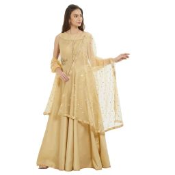 dupatta bazaar Woman's Embellished Beige Net Dupatta image 4