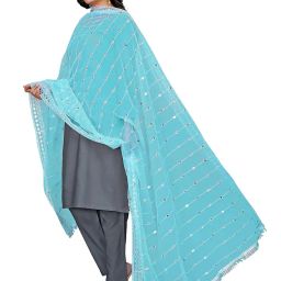 kemza Elegant Net Dupatta with Embroidery & Mirror Work | Lace Border | Lightweight & Soft 1 image 1