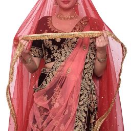 faith visit Women's net stone work shimmer lace dupatta image 3