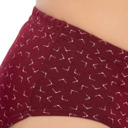 trylo Women's Riza Inner Elastic Cotton Hipster Panties High Waist With Full Coverage (Loose Pack Of - 5 Assorted Prints May Vary) image 4