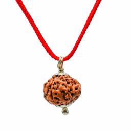 srt rudra 8 Mukhi Indonesian Rudraksha Java Bead Aath Mukhi Rudraksha Pendant 8 मुखी रुद्राक्ष 8 Face Rudraksha Blessed Ganpati Eight Face Rudraksha For Sawan Puja image 1