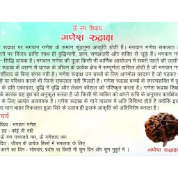 saubhagya global Ganeshji Rudraksha Siddha, from Nepal & Laboratory Certified image 3