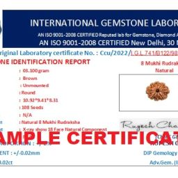 SreeGems 8 Mukhi Rudraksha Original Certifed 8 Face Rudraksha Original with Silver Capping Aath Mukhi Rudraksha Blessed by Lord Ganesh Ji 8 Mukhi Rudraksha Nepali 8 मुखी नेपाली असली रुद्राक्ष 8 Mukhi Rudraksha Pendant image 5