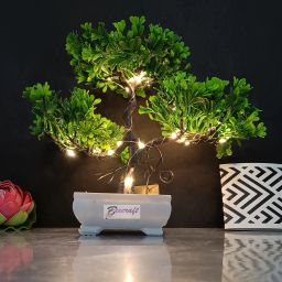 Artificial Bonsai Plant with LED Light| Pot for Office, Room Decor Bonsai Wild Artificial Plant with Pot-image-79