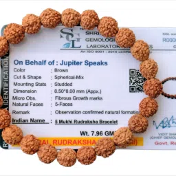 Rudraksha Bracelet-25