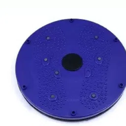 Twister Slimmer Stepper Ab Exerciser (Blue) Ab Exerciser-image-13