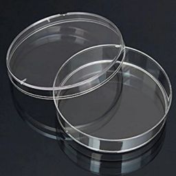 Polystyrene Reusable Petri Dish-image-4