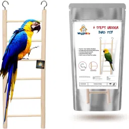28cm Natural Wooden 6 Step Ladder Bird Toy | Climbing, Exercise & Fun | For Medium & Large Birds Wooden Training Aid, Stick For Bird-image-4