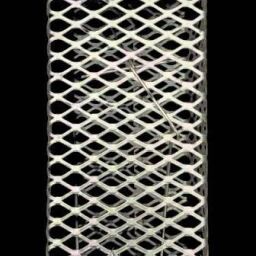 004 Insect Net-23