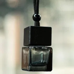 8ml Luxury Hanging Car Diffuser Air Purifier-image-12