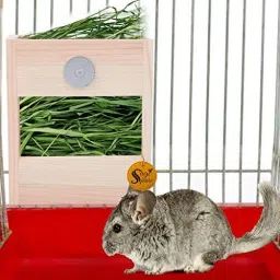 Natural Wooden Cage Attach Hay Rack, Grass Feeder, Holder for Rabbit, Guinea Pig Wooden Perch, Training Aid, Stick For Hamster-image-32
