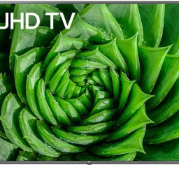 UHD 190 cm (75 inch) Ultra HD (4K) LED Smart WebOS TV-image-72