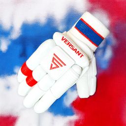 PRO-DG Cricket Batting Gloves-image-21