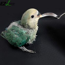 Sage Square Hand Feeding Spoon with Curve Tip for Birds/Puppy/Kitten/Cat/Hamster/Dog image 2