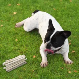 picckola international 1000 Gramm Rawhide Sticks Twisted Chew Sticks for Dogs Calcium Sticks Beef Dog Chew image 2