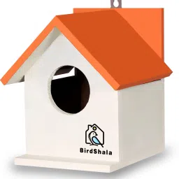 Bird House for Sparrow, Budgies and Finches with Air Ventilation Bird House-picture-16
