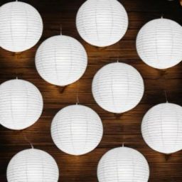 White paper Hanging Lantern Pack of 10 (12 inch) 19 White Paper Hanging Lantern-image-54