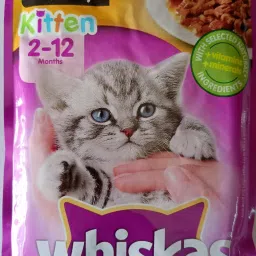 whiskas Cat Food For Junior (2-12), Chicken In Gravy Flavour,(pack of 12) Chicken 1.02 kg (12x0.09 kg) Wet Young Cat Food-image-40