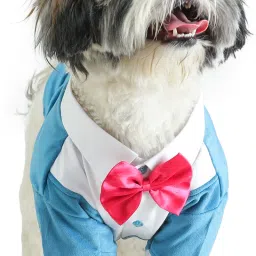 Tuxedo for Dog, Cat-image-37
