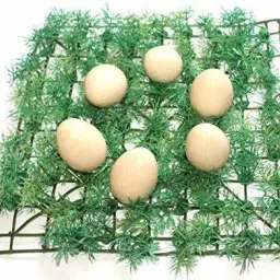 Wooden Eggs - 6 Pcs / Wooden Egg Toy Playset/ Pretend Play Eggs for Kids / Birthday Return Gifts / Fake Eggs / Nesting Eggs for Kids "Made in India" - Multicolor-3