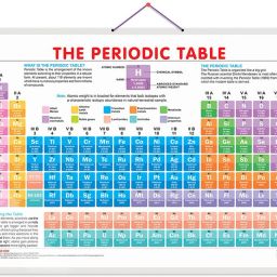 Periodic Table Early Learning Educational Chart for Kids | 20"X30" inch |Non-Tearable and Waterproof | Double Sided Laminated | Perfect for Homeschooling, Kindergarten and Nursery Students Paper Print-image-44