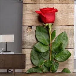 154 cm (5 ft) Polyester Room Darkening Window Curtain Single Curtain-image-48