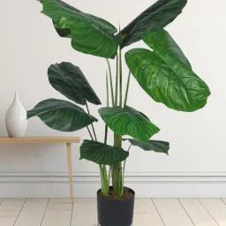 Arick Decor 47 Inch Artificial Calathea Plants With Black Pot-picture-21