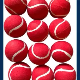 New-Tennis ball _161Pack of 6 Tennis Ball-picture-33