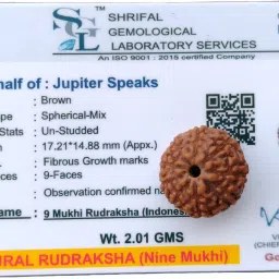 9 Mukhi Rudraksha 17MM With Lab Certificate, Natural Brown Indonesia Bead Unisex Wood Pendant-14