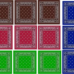 PAROPKAR Paisley Print Handkerchief Green Maroon Brown Royal Blue ["Green","Maroon","Royal Blue","Brown"] Handkerchief-20