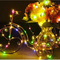mansaa 30 LEDs 3.05 m Multicolor Steady String Rice Lights image 4