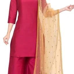 Net Embroidered Gold Women Dupatta-image-2