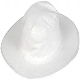 Victall umpire cap-picture-15